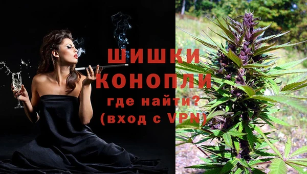гидропоника Новокубанск