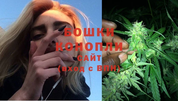 стафф Богородицк