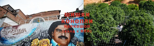 стафф Богородицк