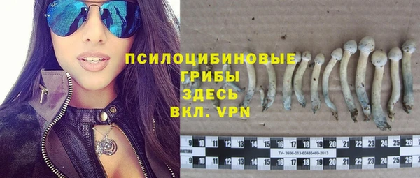 стафф Богородицк