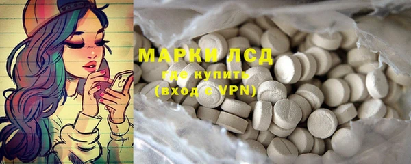 стафф Богородицк